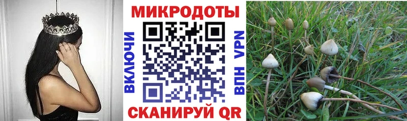 Псилоцибиновые грибы Magic Shrooms  Звенигород 